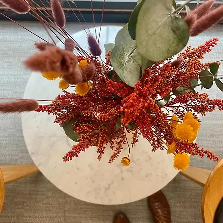 酒店 里尔波特尔md设计酒店 2*