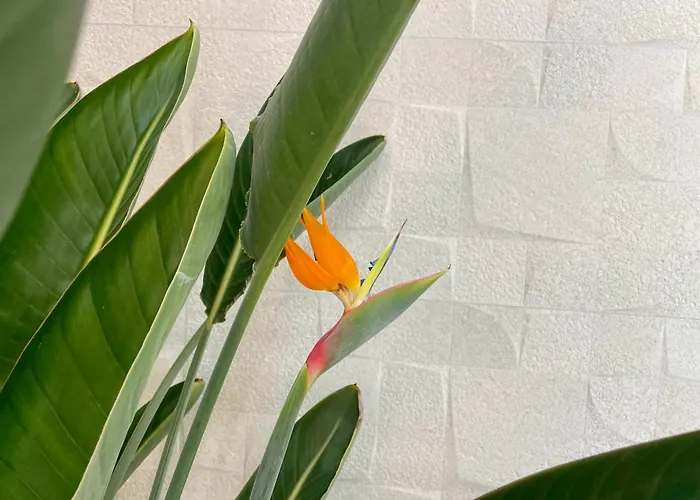 Отель Md Design - Portal Del Real Валенсия